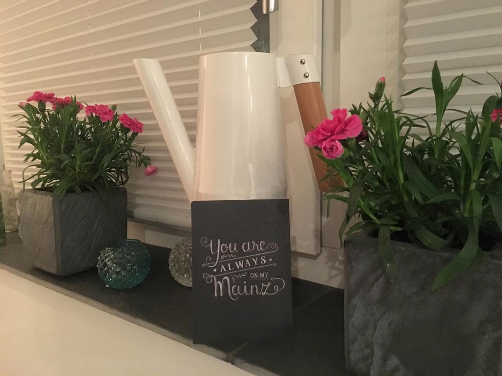 Apartment The *